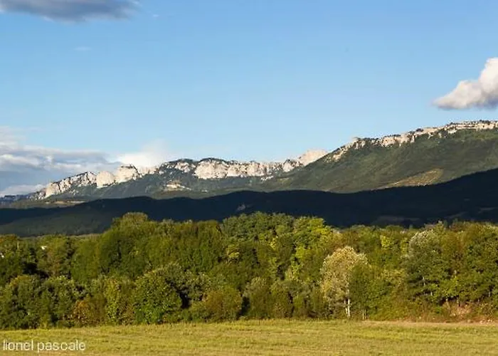 Novotel Sud Hotel 4*